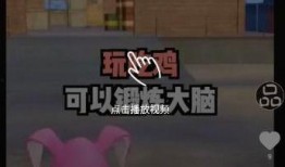 今日爆料小视频下载,下载背后的真相与争议